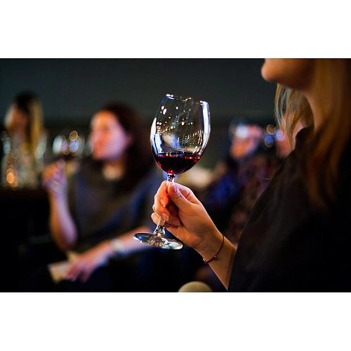 Шкаф винный CASO WineComfort 66 — изображение 4