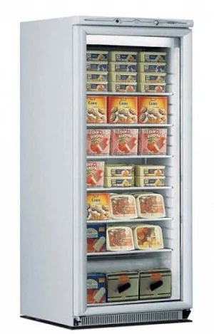 Шкаф морозильный MONDIAL ELITE ICE PLUS N60