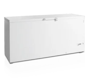 Ларь морозильный TEFCOLD FR605