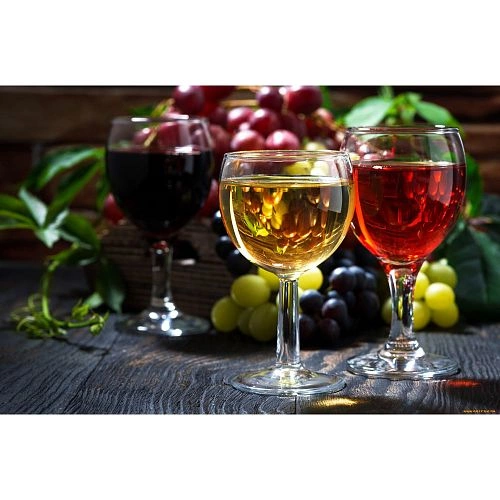 Шкаф винный CASO WineSafe 12 Black — изображение 4